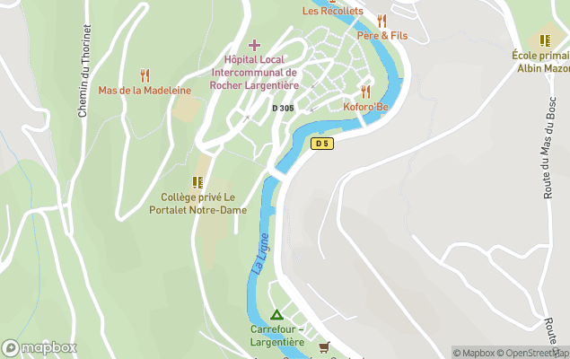 agence immobili&egrave;re irs